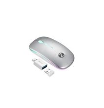 Blade+ Wireless Mouse With Type C Converter-Silv